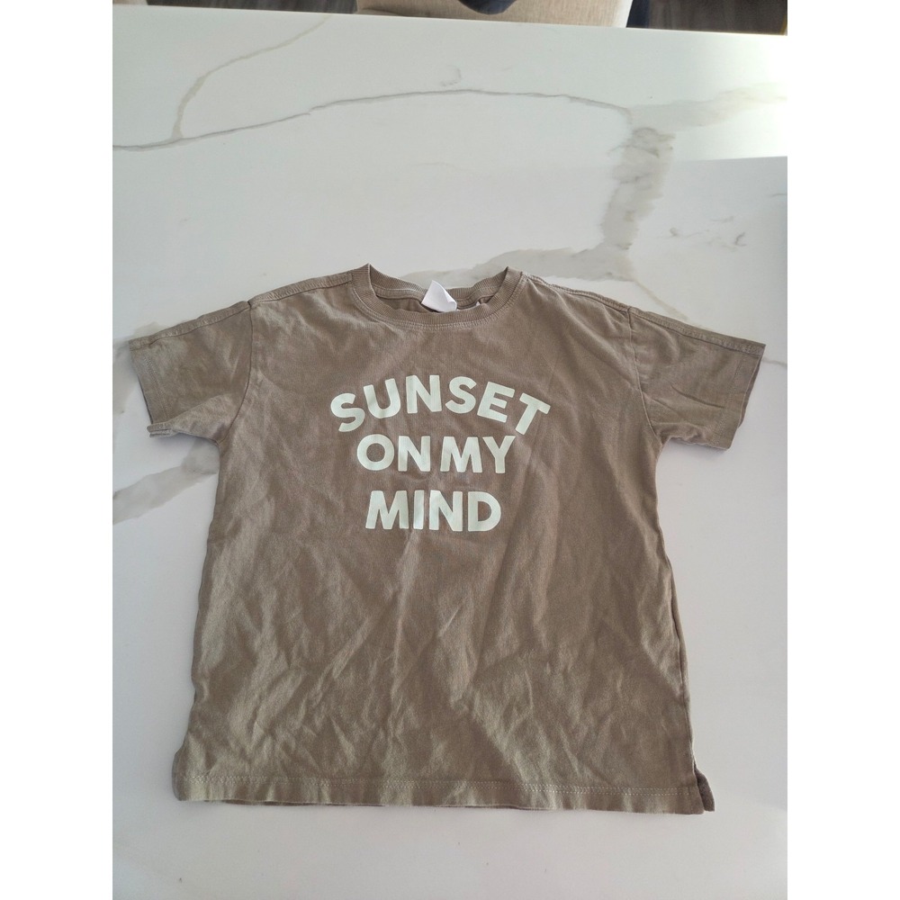 Zara toddler boy top 3-4
